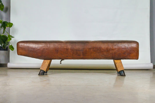 Vintage Czech Leather Gymnastics Bench Pommel Horse 1930s