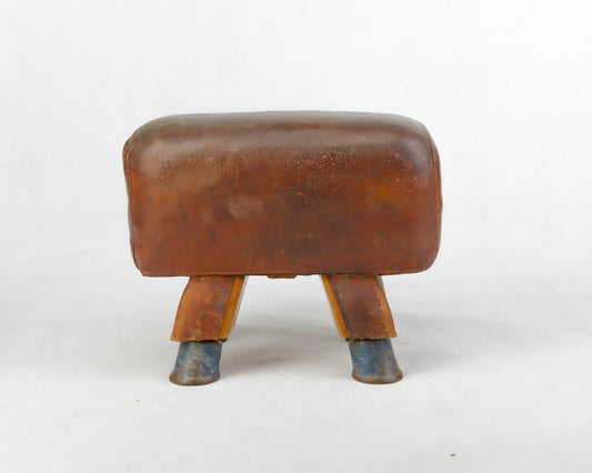 Vintage Czech Leather Gymnastics Stool Bench Pommel Horse Top 1930s
